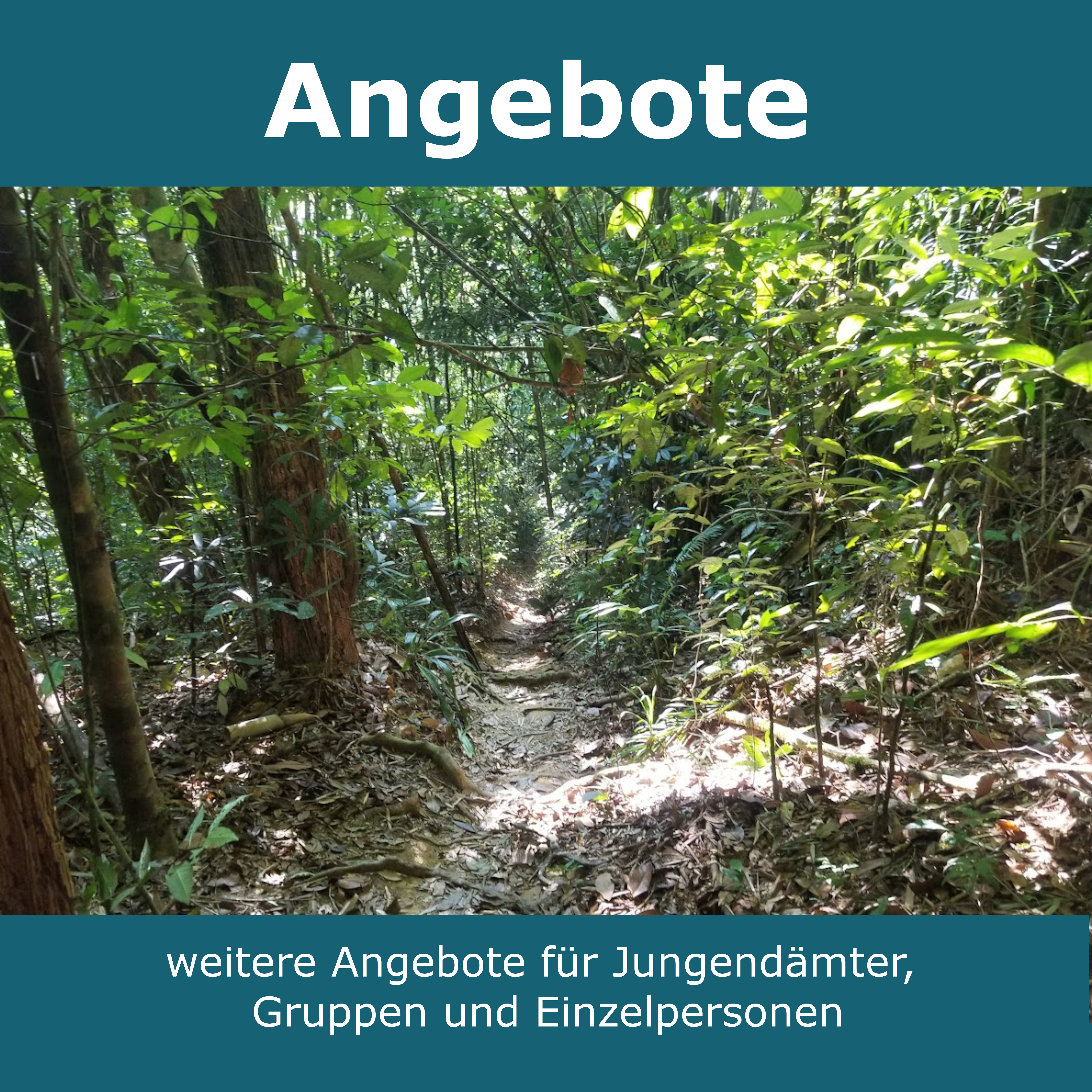 Angebote